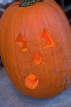 A Jack-O-Lantern, guarding the Humphouse